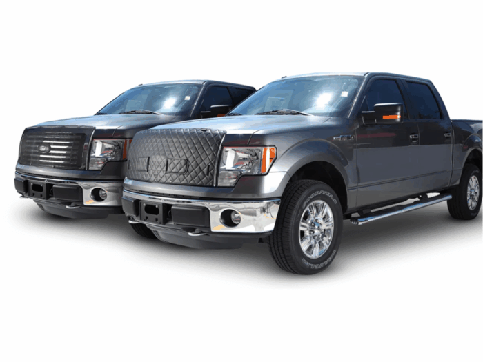 FIA Custom Winter Front/Bug Screen - RAM 13-18 HD
